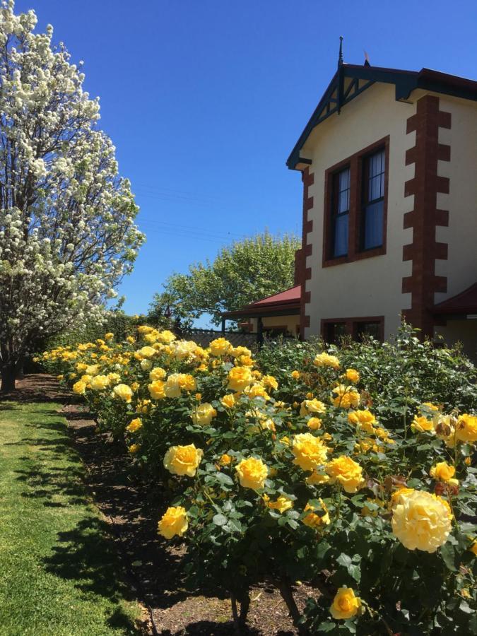 Wine And Roses Bed And Breakfast Αδελαΐδα Εξωτερικό φωτογραφία