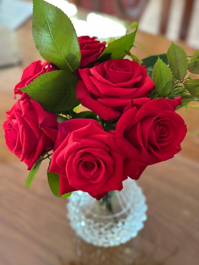 Wine And Roses Bed And Breakfast Αδελαΐδα Εξωτερικό φωτογραφία
