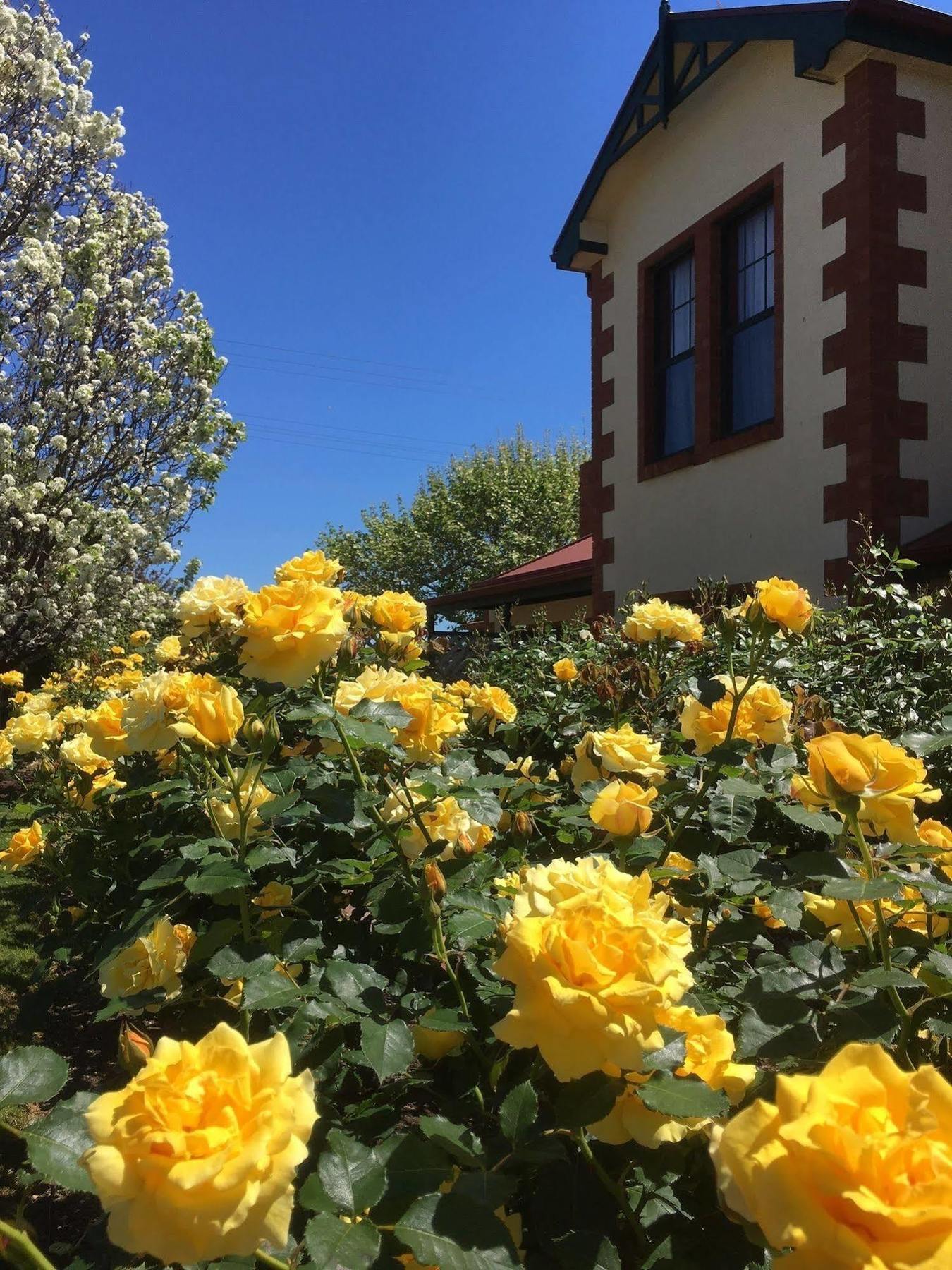 Wine And Roses Bed And Breakfast Αδελαΐδα Εξωτερικό φωτογραφία